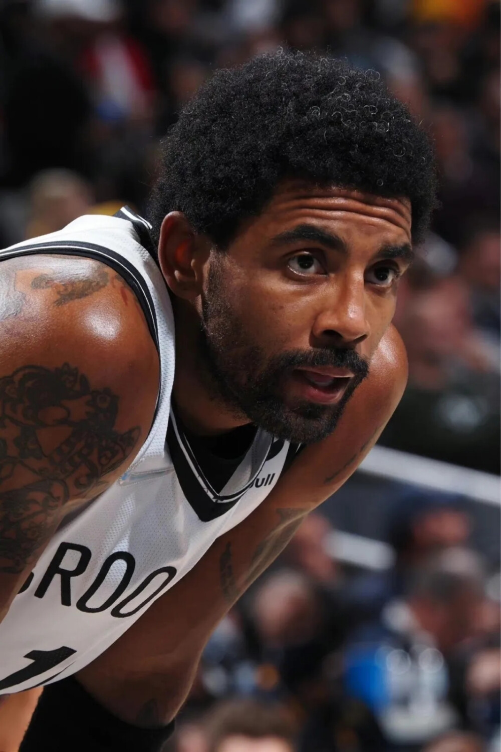 续约不只是 续约不只是