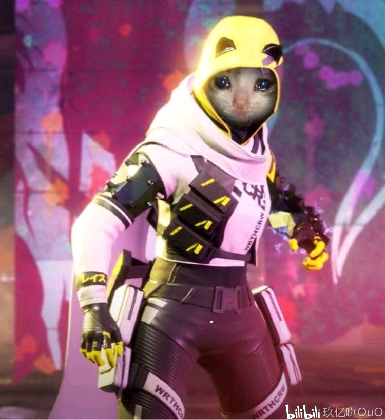 双后腰屏障 双后腰屏障