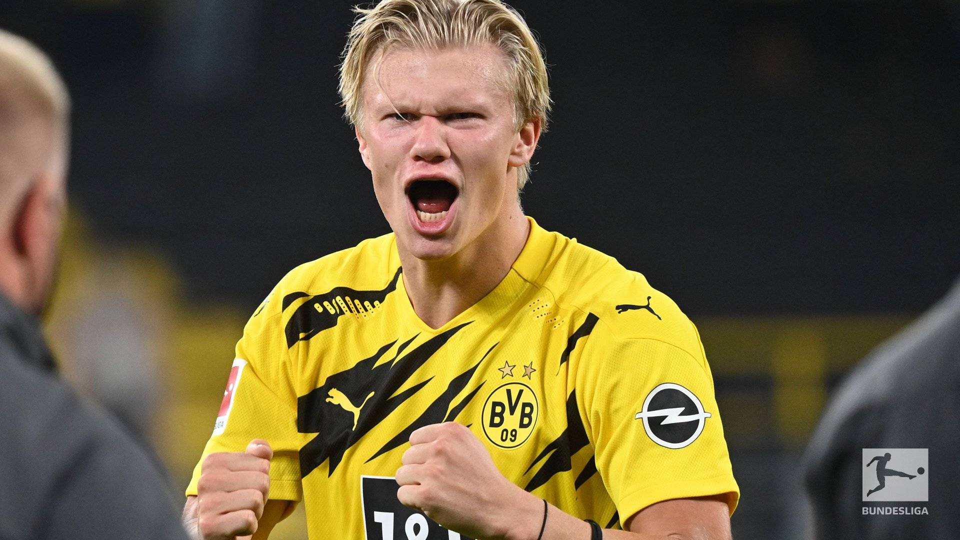 既能捕捉短 既能捕捉短